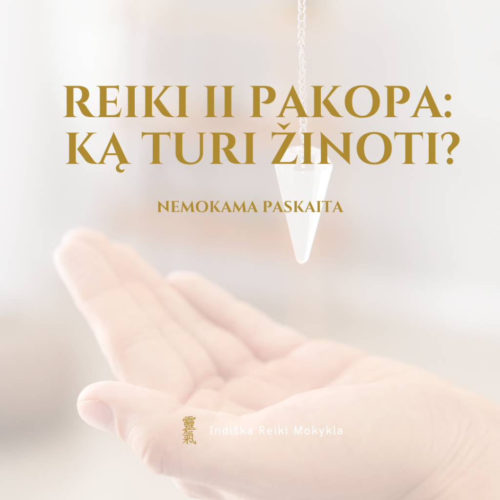 Paskaita apie II Reiki pakopą 2 reiki pakopa