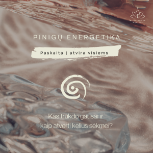 Pinigų energetika - paskaita
