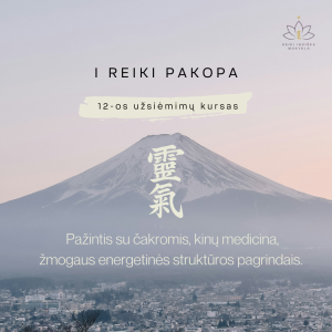 Reiki I pakopos kursas (online)