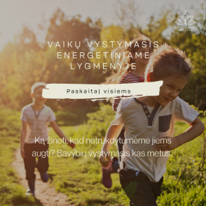 Vaikų vystymasis energetiniame lygmenyje - paskaitos įrašas
